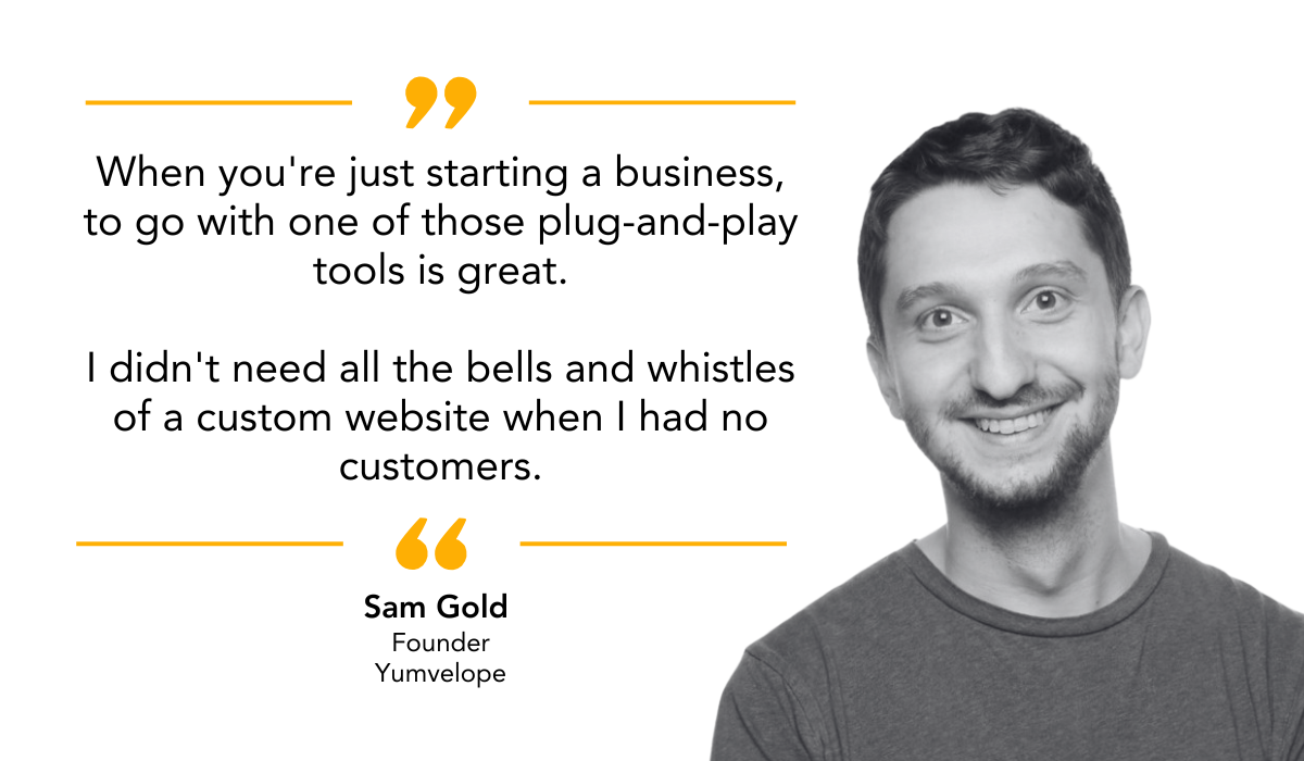 quote on the benefits of plug and play website tools for businesses just starting out
