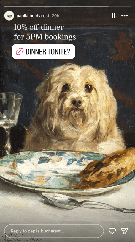 Papila instagram story